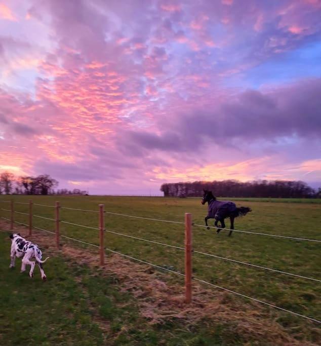 Gite Au Haras D'Agathe Et Ses Princes Les Barils Esterno foto
