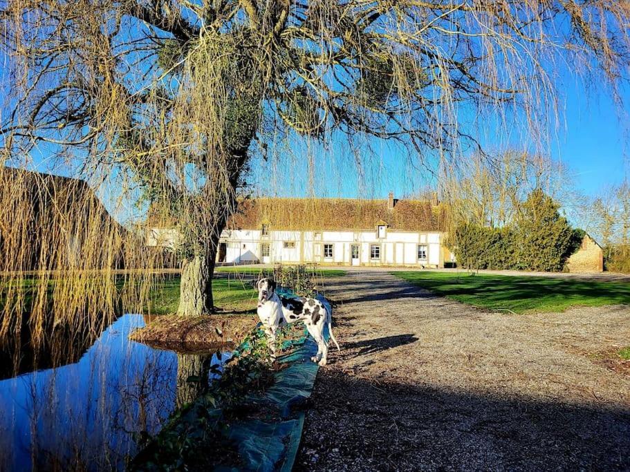Gite Au Haras D'Agathe Et Ses Princes Les Barils Esterno foto