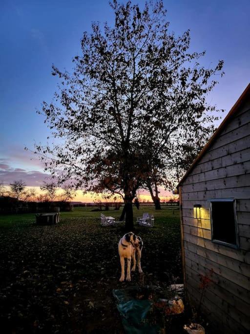 Gite Au Haras D'Agathe Et Ses Princes Les Barils Esterno foto