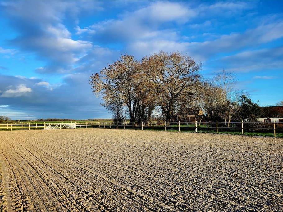 Gite Au Haras D'Agathe Et Ses Princes Les Barils Esterno foto